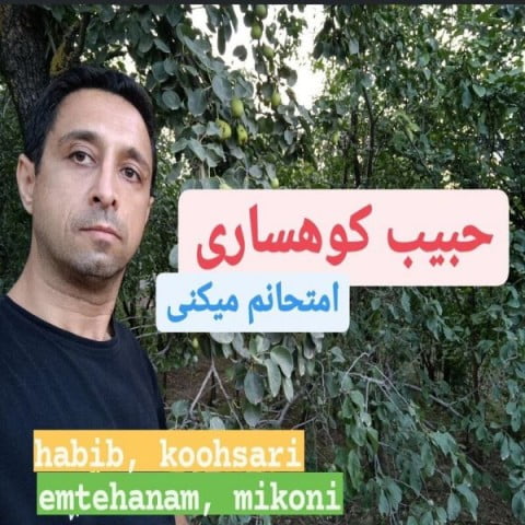 حبیب کوهساری امتحانم میکنی